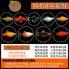 Classic 8 colors, 5 each, 40 in total, free fish food