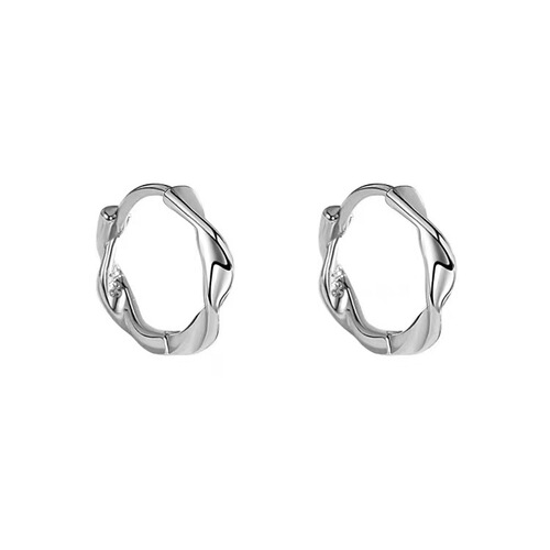 Earrings for women's earrings niche design sense high-end earrings cold style earrings