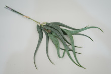 ���W�͹ŷ���Gֲ�~��3֦���ָЏ����ȼ���ܛ�b��в廨�b[��