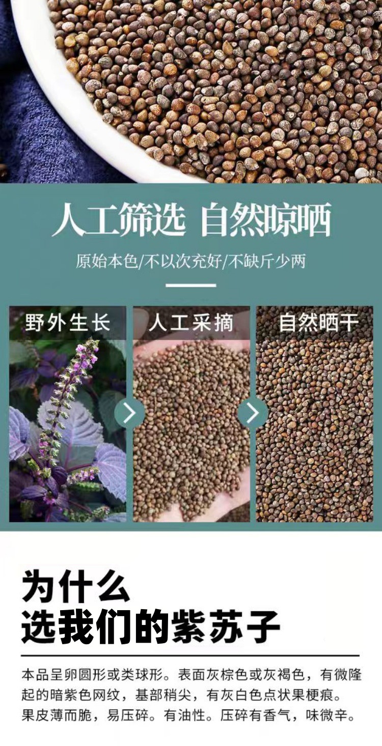 Zi Su Zi Powder (Perilla frutescens) — Roasted Perilla Seed Powder, 500g Food Herb key features