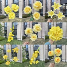 Ϫ 2025Ʒ Sɫϵ  cY滨l