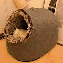 ؈Ců؈CСȮ؈˯XĸC]ʽ