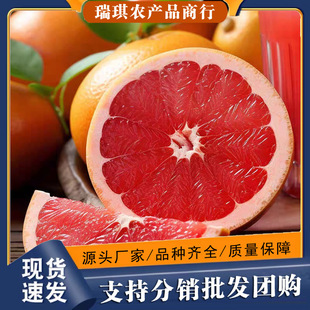 �����Ϸ�������9���������r����ˮ��10���l���]5�Ǽt���������t��