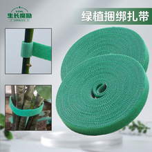 �Gֲ�@ˇֲ��ħ�g�N����ճ�ێ��Gɫֲ���������̶����ͱ���������