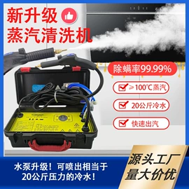 蒸汽清洗机