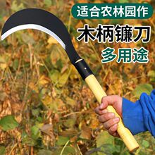 ���砵���²˳����������i��z�ݵ����µ�����r�ø�ˮ��С���