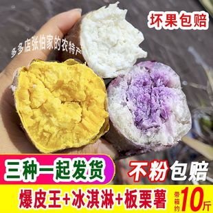 ���r���ݱ�Ƥ��������ɳ�ر���ܼt����Ŵ������Ϯ�������ع�