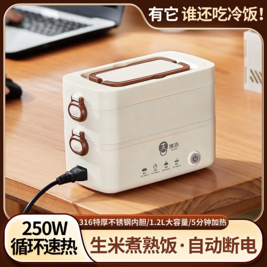 Electric Lunch Box for Heating and Keeping Warm, Mini Portable for Office Workers, Suitable for Cooking and Steaming, with Automatic Power-Off, Free Shipping