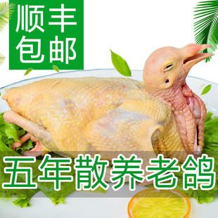 ɢ�B�����������������������s�Zι�B�F�����r�����������Ҝ�����