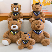 新博士熊公仔泰迪熊毛绒玩具可爱大熊玩偶毕业礼物布娃娃一件代发