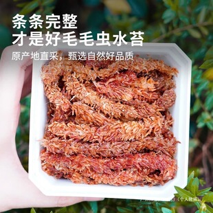 ���������m���\̦�\�^�������FƤʯ���M��ëë�xֲ��ˮ̦ˮ���l��