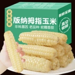 5斤云南西双版纳拇指小玉米新鲜香糯小手指迷你甜糯玉米软糯玉米