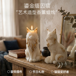 �̽���؈��޹Ϟ�T��Ϟ����������նY���p�ݔ[���羳Ϟ�T����