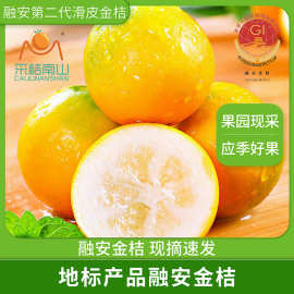 融安滑皮金桔新鲜纯甜不麻不涩爆汁脆皮新鲜采摘当季水果孕妇整箱
