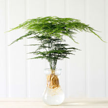 ����ˮ��Gֲ�����҃�ֲ��͏dˮ�B�k��������ȩ���m�ļ�����