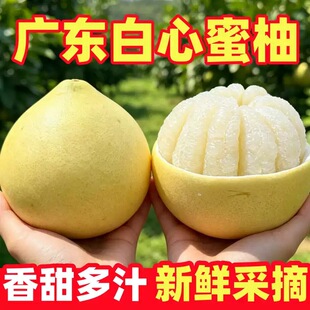 ���ڏV�|÷�ݰ������֮������r����ˮ���������ӷ��������ЋDˮ��