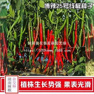 ������������һ̖�����N�ӱ�Ƥ�|����ζ��ⰙƤ��ǽ��N�Ѵ��ﲥ