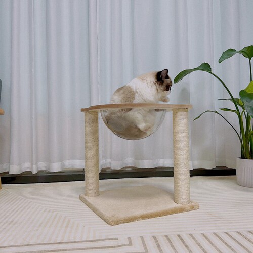 Cat tree space capsule cat bed cat tree sisal cat scratcher upright all-in-one multifunctional pet toy pet supplies