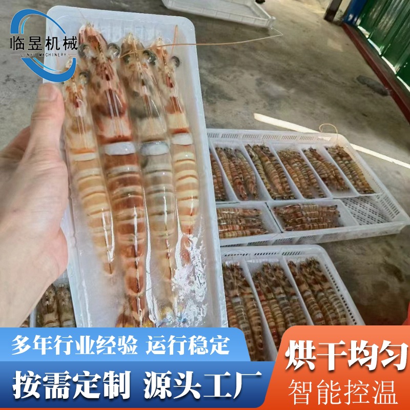 鱼片海参箱式烘干设备 鱼干烘干低温烘干机鲅鱼黄花鱼烘干设备