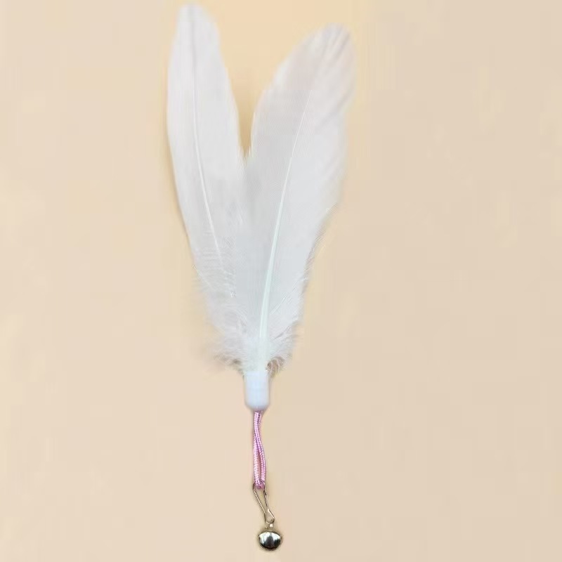 White feather replacement head