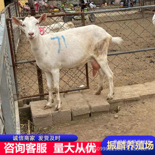 ���wɯ����ɽ���Bֳ�����N��ɽ�������\ݔ���w����