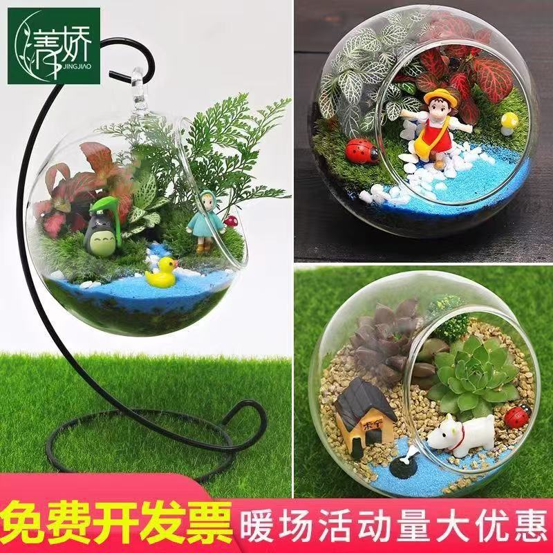 [Warm-up Activities] Creative Micro-landscape DIY Material Package Ecological Bottle Fleshy Ornaments Gift suit