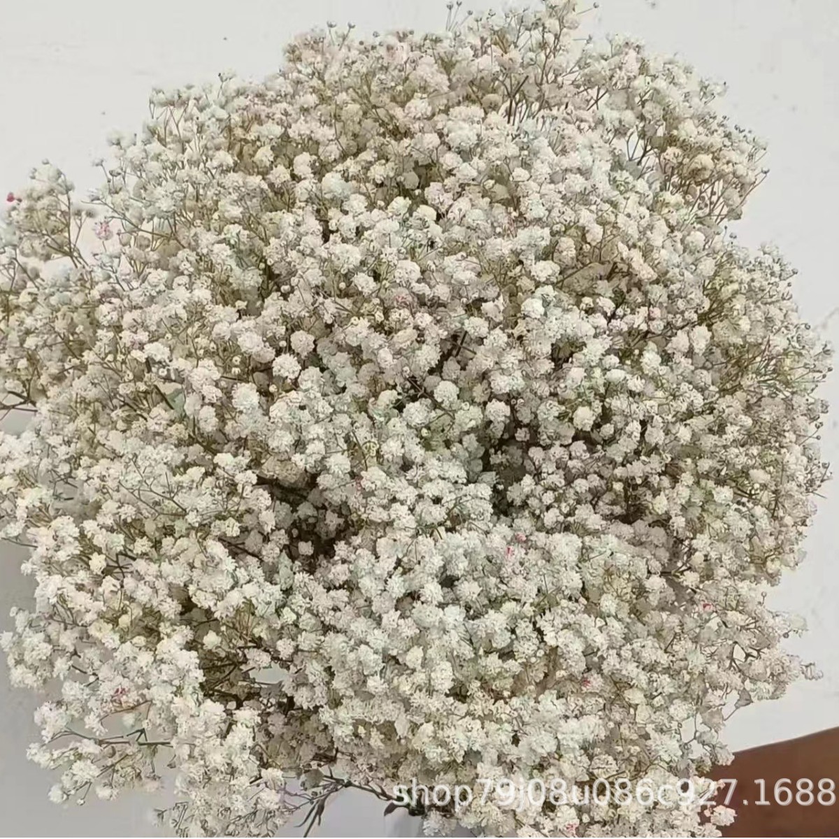 녹색 줄기와 흰색 꽃 머리 (120g) ±10g