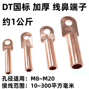 DT�~���Ӈ�����|�~���^�~����10��300ƽ���~�����~�Ӿ�����1����