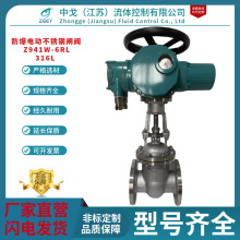 316L����늄Ӳ��P��l�y Z941W-6RL�������{���y �ߜ�����������