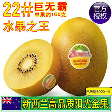 新西蘭黃金奇異果高品質黃心獼猴桃孕婦水果陽光金果超甜奇異果