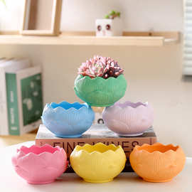 简约多肉植物花盆创意莲花高颜值手工桌面可爱小花盆专用盆陶瓷盆
