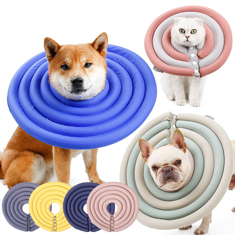 Pet Protection Ring 5