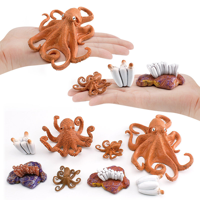 Amazon simulación de animales marinos pulpo modelo de ciclo de crecimiento pulpo proceso de transformación de crecimiento juguete Decoración