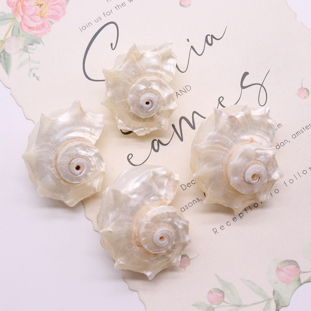 Beads Jewelry Making Type 1 Piece 25-40mm Shell Shell Faceted Jewelry Accessories Beads