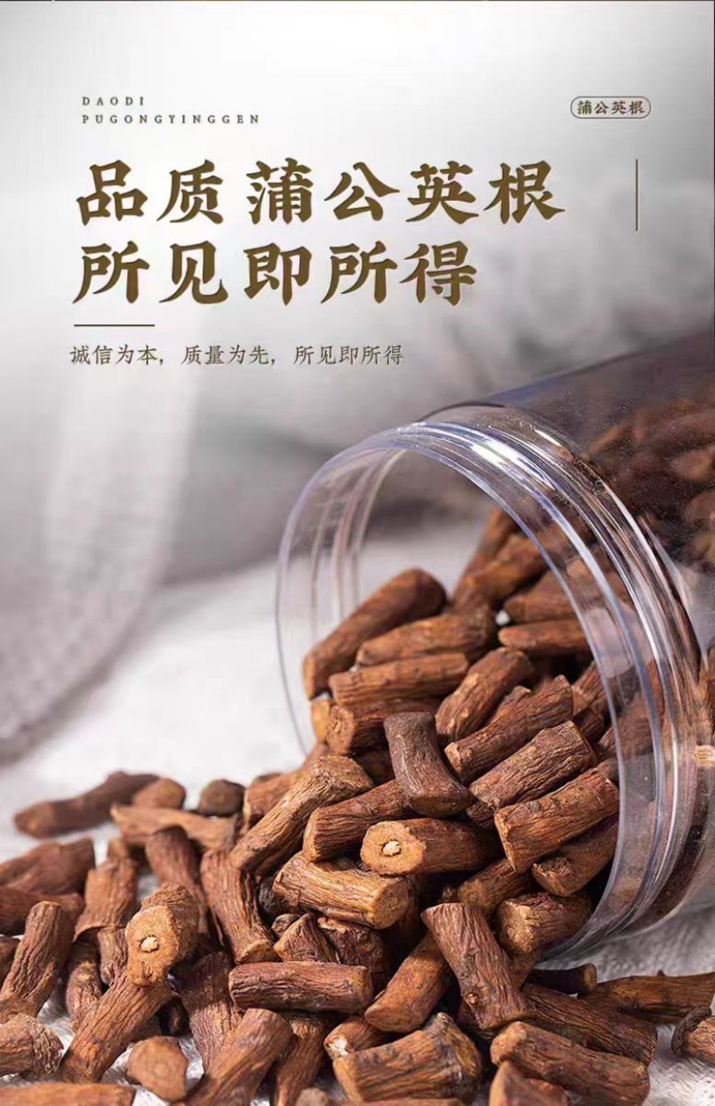 Dandelion Root (Taraxacum officinale) — Dried Pugongying Gen Herbal Tea & Decoction Pieces specifications