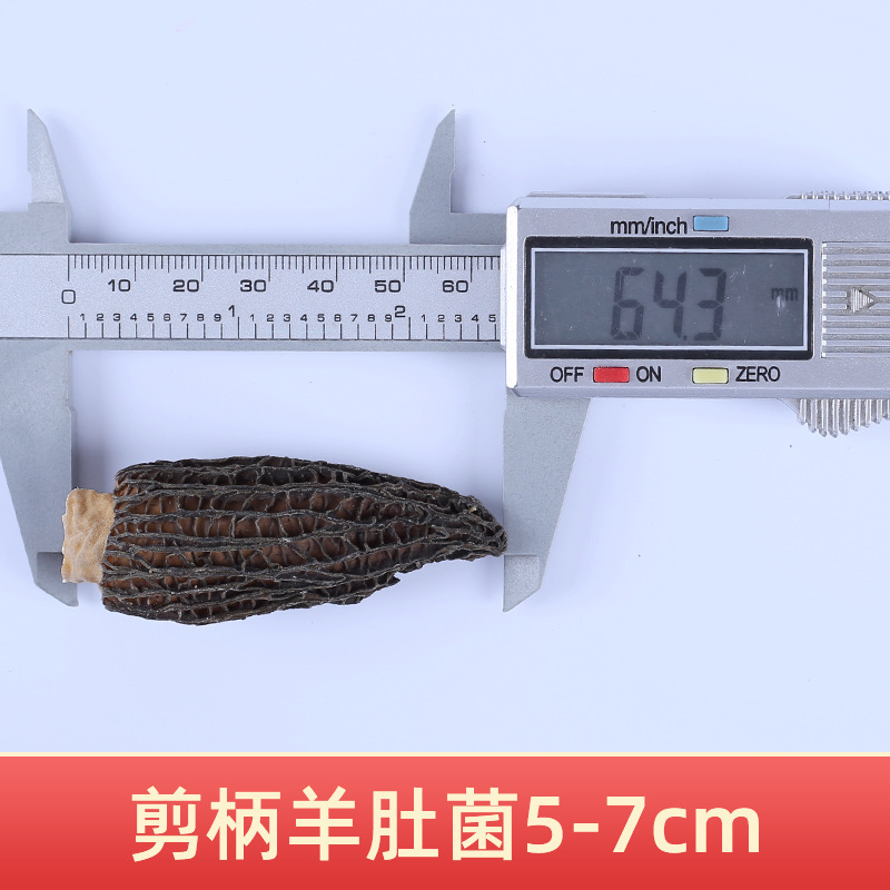 첫 번째 그루터기 5-7 가위 손잡이 모렐 500g (핫 세일