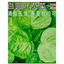 ׈A~{˷NļɷN{˝h˷NrԲˈ@߲˷NӴȫ