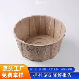 纸浆模塑;纸盒;其他纸类包装