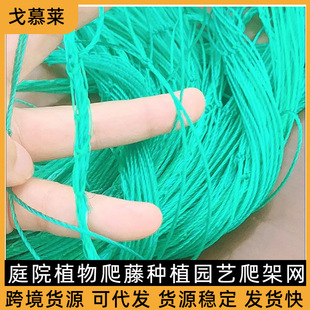 ֲ�����پW�K  �@ˇͥԺֲ�����پW  ���ǾW�����پW�������پW