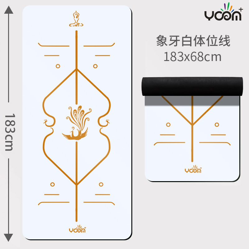 자세라인-아이보리화이트