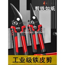 ���FƤ���h�����I�����ɵ�������X�۰��p��F�W�������FƤ����