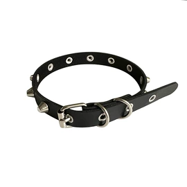 项圈;脚饰;吊袜带