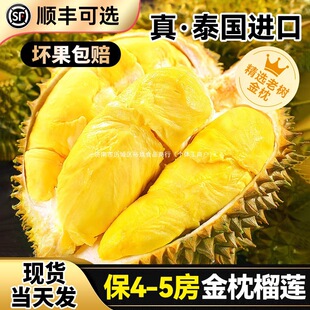 ̩��������ɏ�M����S���]���rˮ���������䑪��10���������Ş��