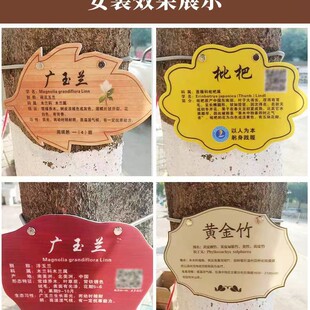 �S�����l304���P䓘��Ə��� �p�����쏗�� ���K���䏗��