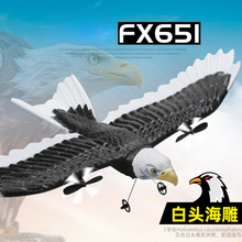 飛熊FX651遙控老鷹飛機固定翼泡沫老鷹機戰斗機電動航模兒童玩具