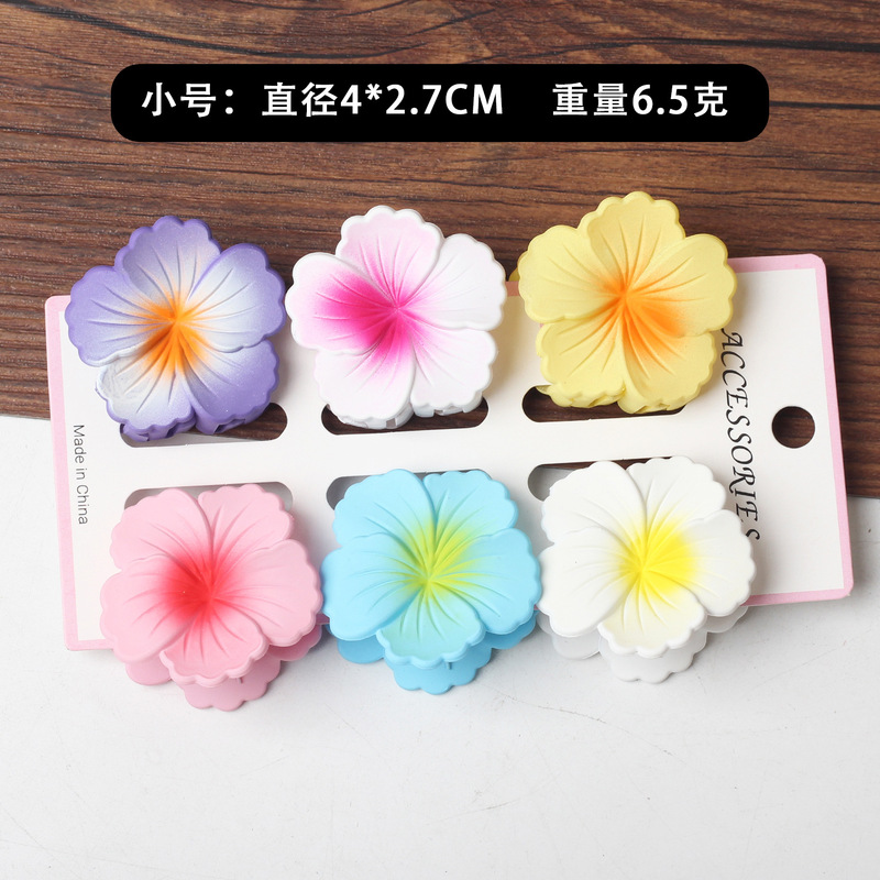 新商品のかわいい六点セットの卵の花の夏のリゾート風はビーチの海辺のカードの後頭部を挟みます。|undefined