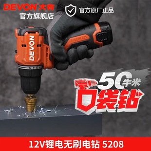 ��������12V�oˢ���50ţ��늄��֘�荼��ö๦�����D5208