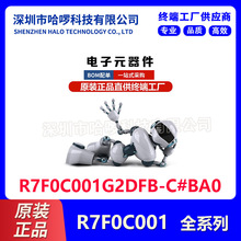 R7F0C001G2DFB-C#BA0 电子元器件 瑞萨品牌 原装正品 集成电路IC