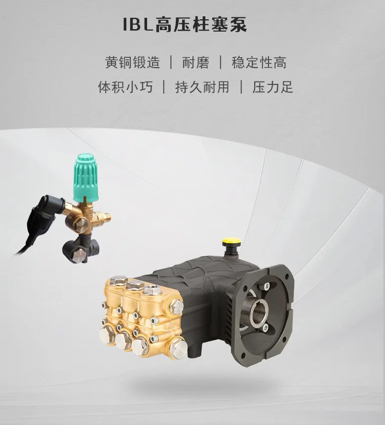 Botuo High-Pressure Cleaning Machine Professional-Grade Car Washing Machine Commercial Mobile Electric Cold Water Cart Fk Series