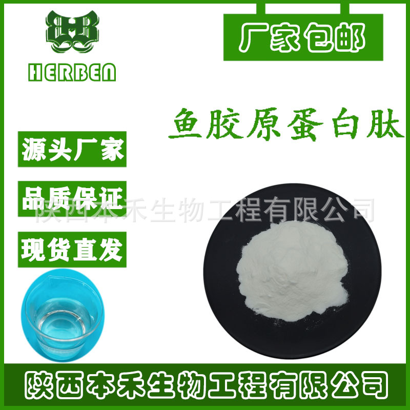 鱼胶原蛋白肽98%鱼皮胶原蛋白原料 小分子肽 500d现货量大优惠
